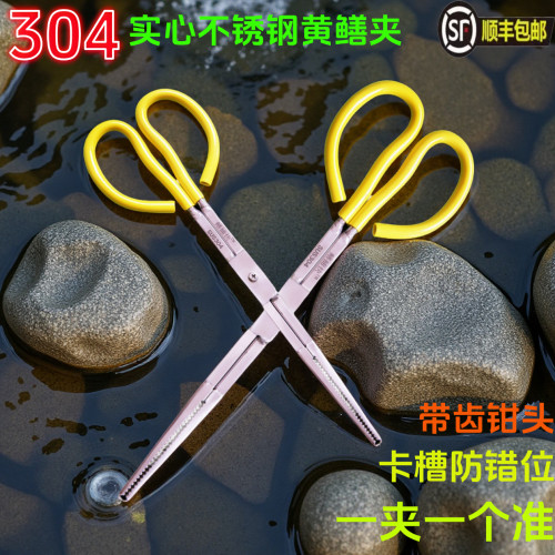 304实心不锈钢黄鳝夹子加厚