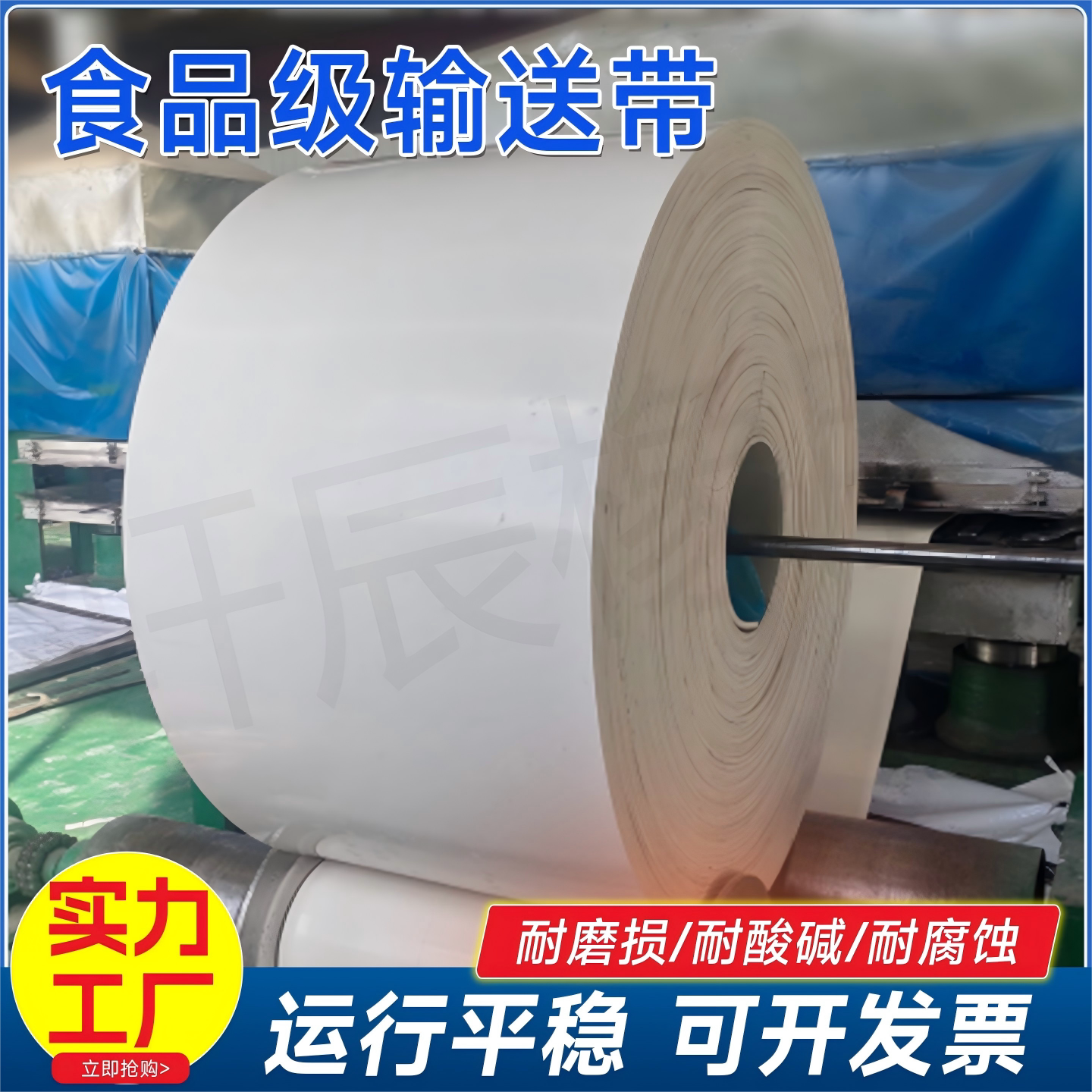 食品级耐酸碱白色尼龙输送带