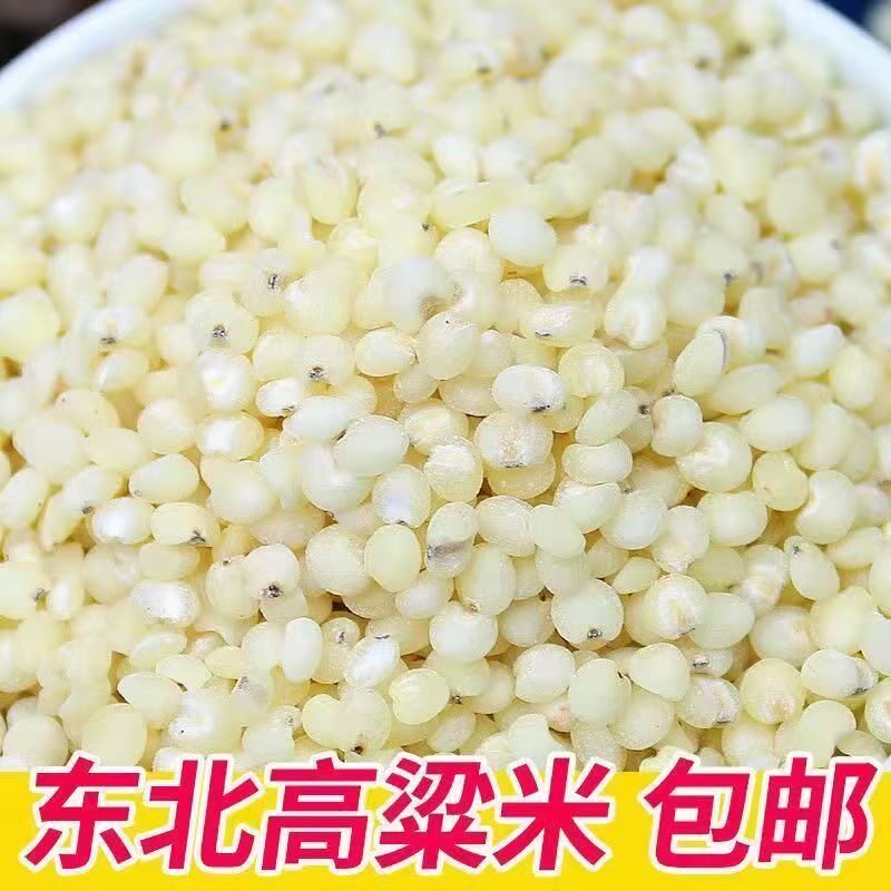 东北特产白高粱米农家新货新米粗粮煮粥五谷杂粮高粱米价商用