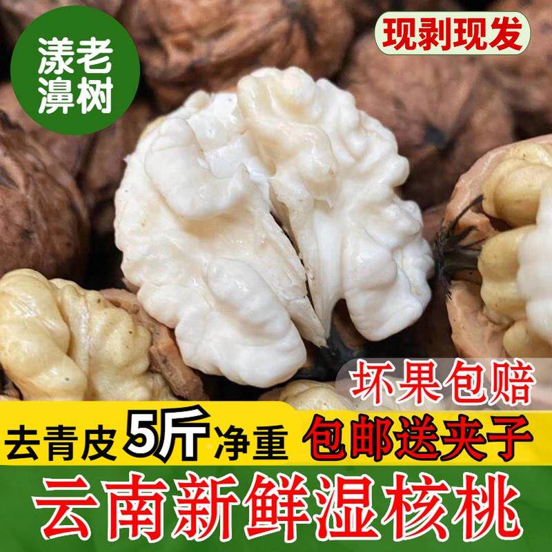 云南大理漾濞去青皮新鲜核桃2024年湿核桃孕妇嫩核桃现摘5斤包邮