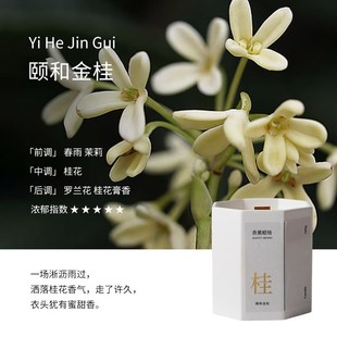 饰摆件手工大豆蜡伴手礼物无烟香氛蜡烛 观夏八角a杯香薰蜡烛装