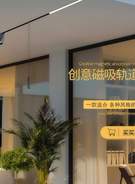 LED无主灯智能家用嵌入式暗装明装客厅照明预埋黑色48V磁吸轨道灯