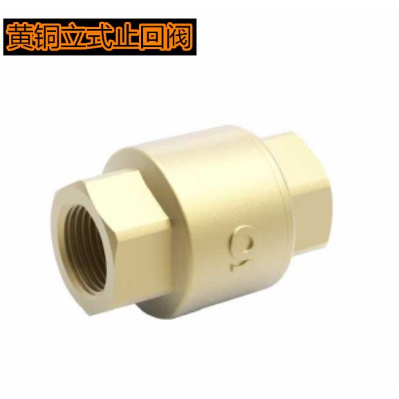 立式止回阀全铜加厚水泵水管水表止逆阀弹簧单向阀4分6分1寸