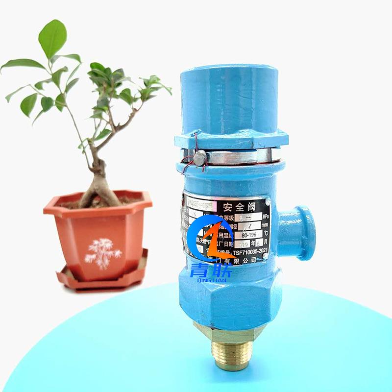 A21H-160/250 铸钢高压低温安全阀氧气氮气氩气二氧化碳安全阀DN6