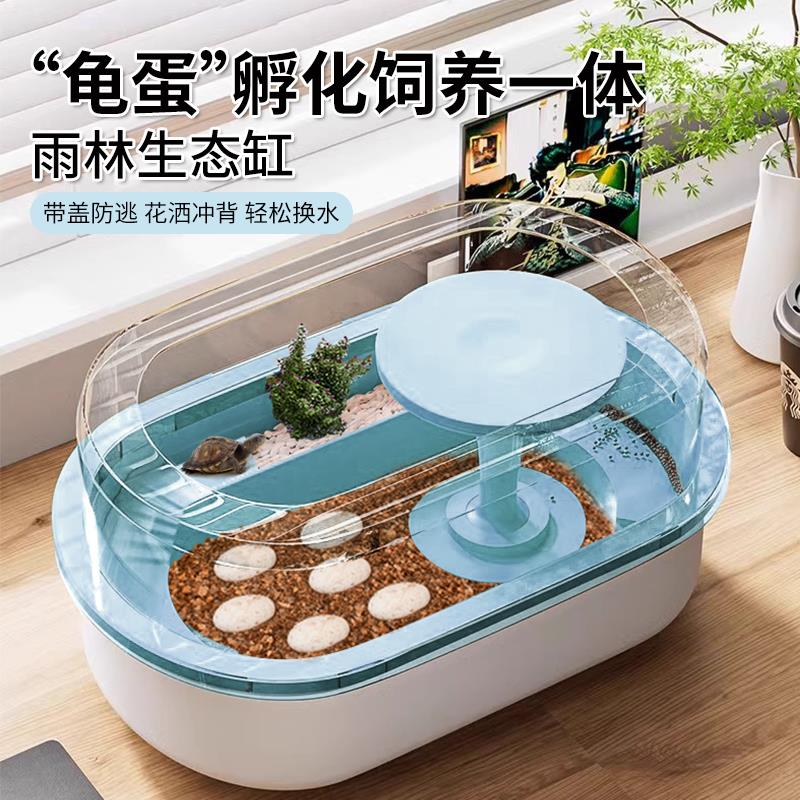 乌龟孵化箱仓套装乌龟蛋可孵化活物适合养的小宠物儿童家养易存活