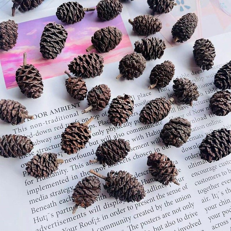 直销水杨子干花包插花松果幼儿园手工复古家居装饰拍摄道具,家居饰品,干花/花瓣/干花包/干树枝,淘宝优惠券,粉丝福利购,淘宝优惠卷