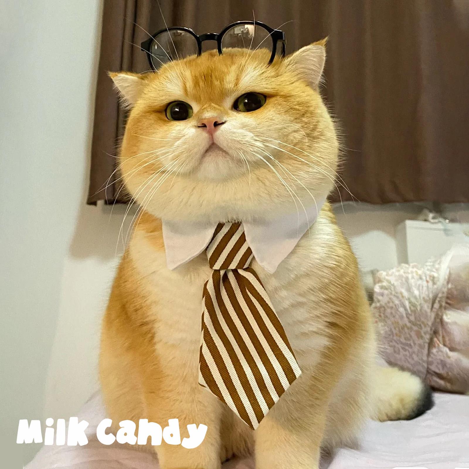宠物领结小狗狗绅士领带猫咪围脖装饰小猫口水巾小猫围巾配饰围兜