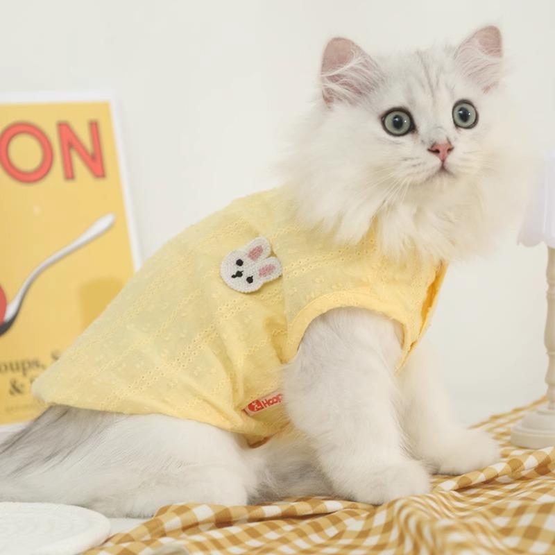 宠物猫咪衣服森系春夏装防掉毛矮脚蓝猫银渐层幼猫小型犬背心薄款