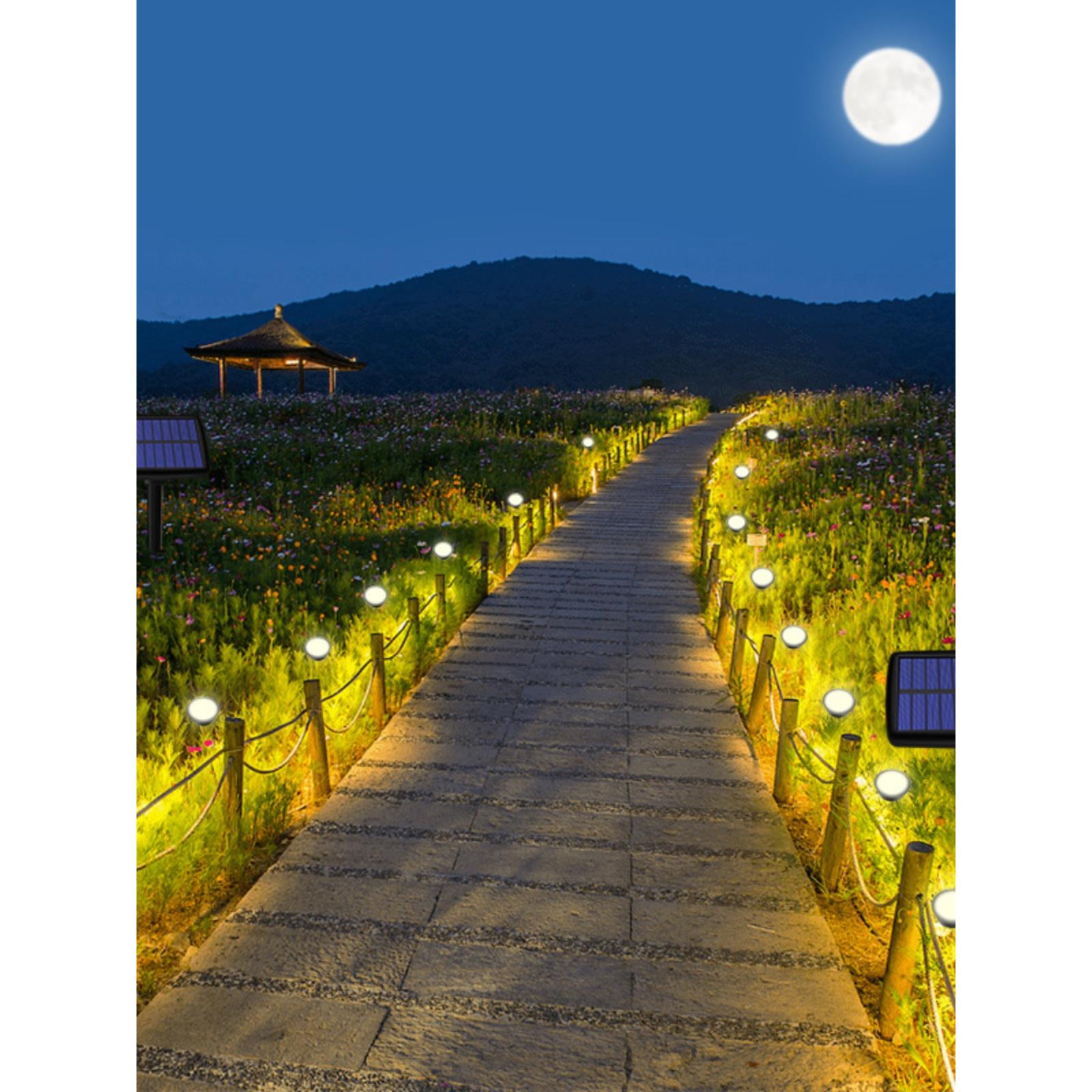 户外欧式家居花园草坪简单布局Abs一对二导暖灯太阳能庭院灯