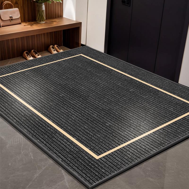 入户门地垫门垫入门户脚垫进门地毯大门口2024新款玄关门外垫子