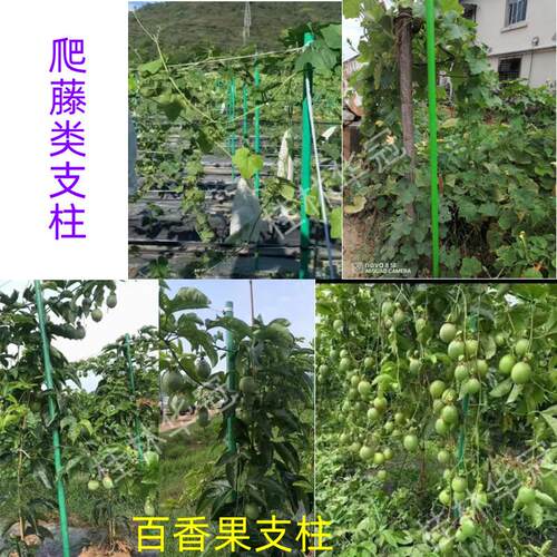 玻璃纤维管温室大棚骨架百香果立柱高强度包毡玻璃纤维杆支架