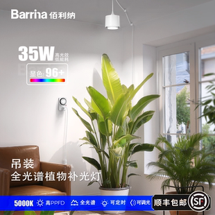 Barrina佰利纳全光谱仿太阳吊装植物墙射灯绿植鹿角蕨花卉补光灯