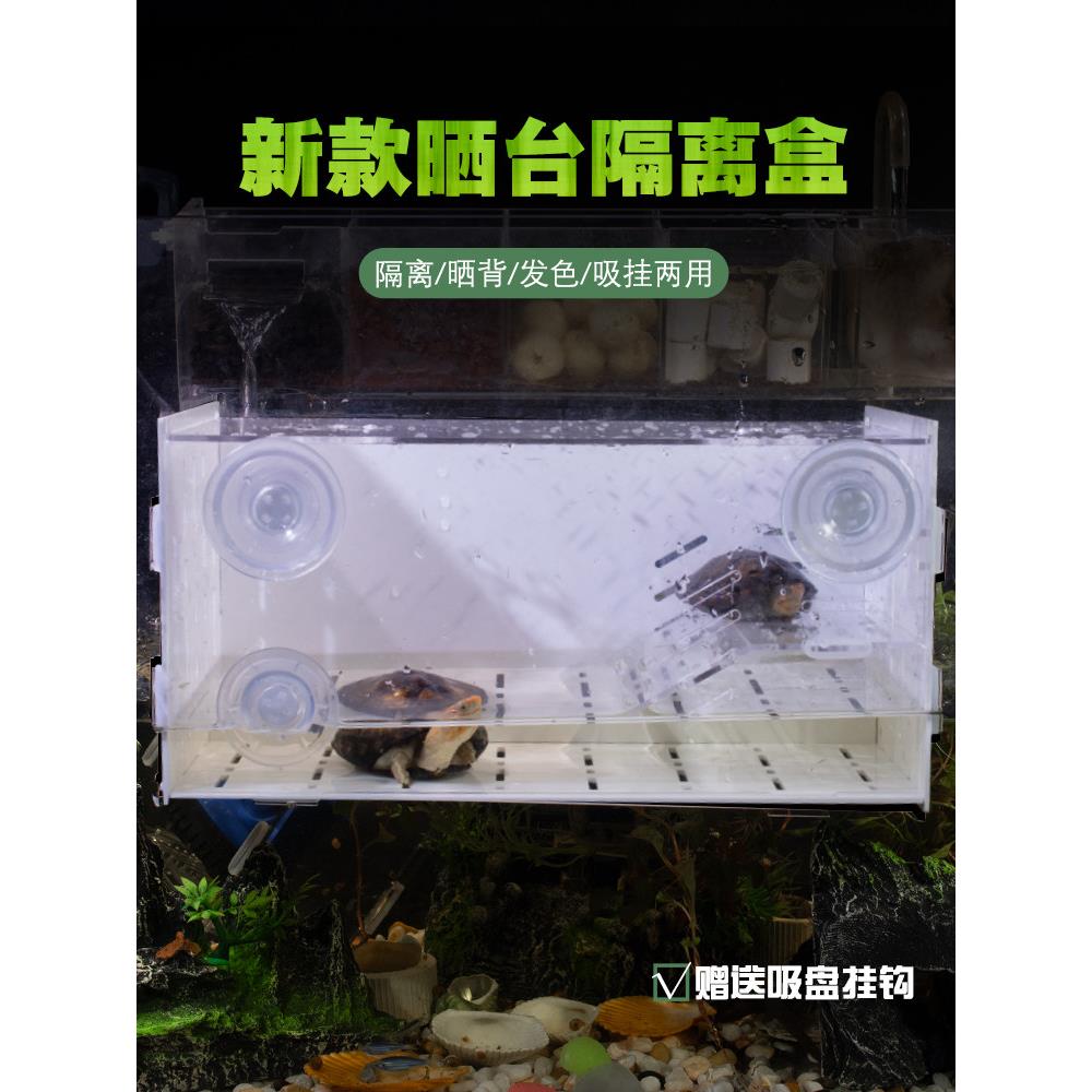 鱼缸内隔离盒乌龟发色盒亚克力隔离盒吸盘白色黑色透明鱼缸内悬浮图片