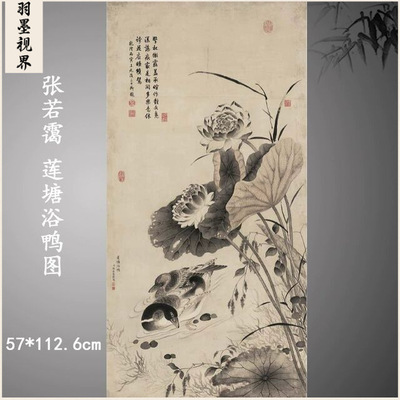 清张若霭莲塘浴鸭图中式古代名