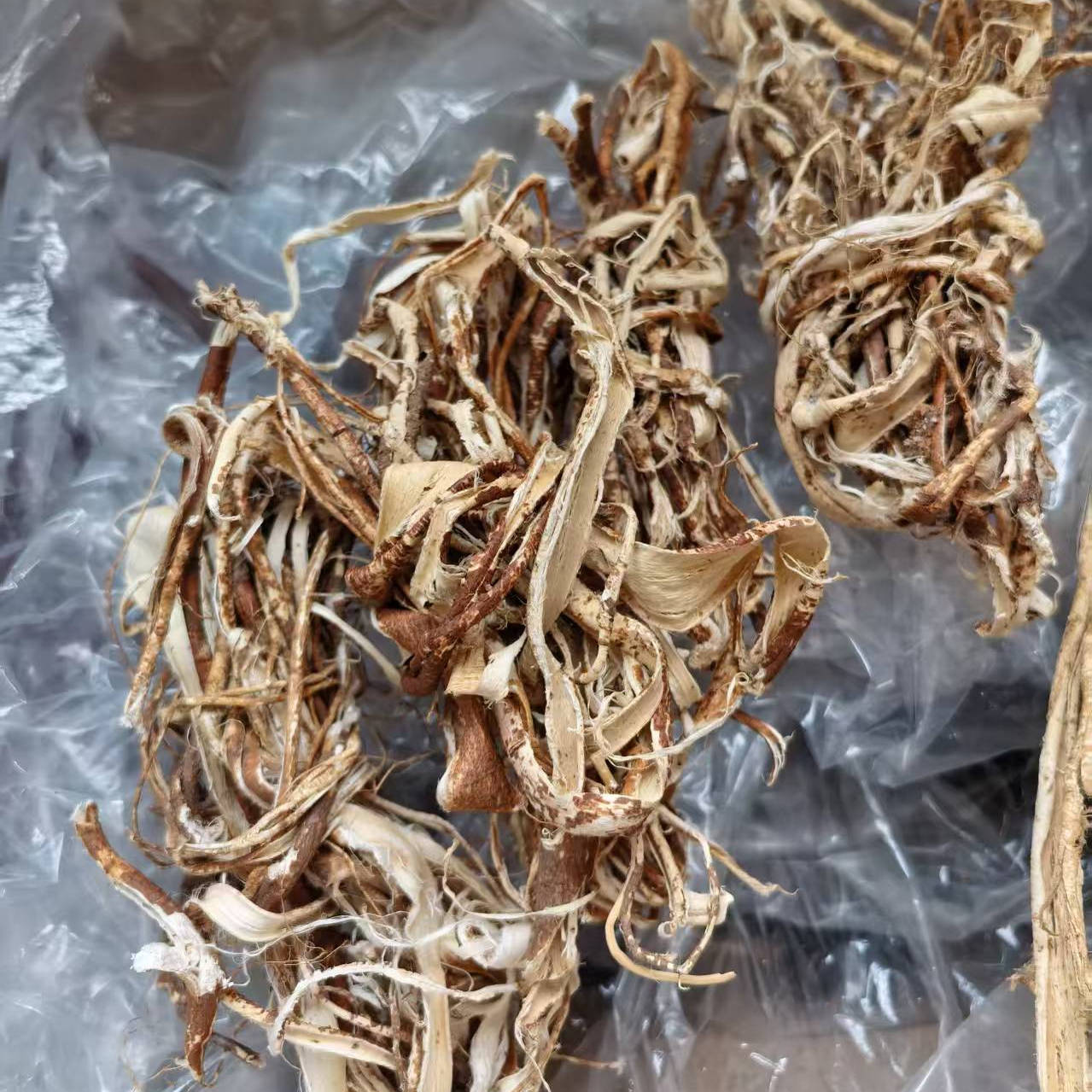 正根部剥皮广西野生五指毛桃自家山里寻自然晒干正宗干货煲汤材料