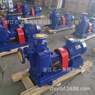 离心泵管道增压大流量清污水排污泵高扬程抽水泵 ZW系列自吸式