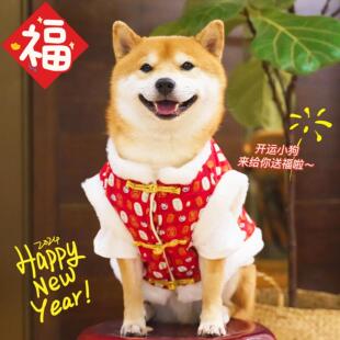秋冬加绒保暖棉马甲宠物柴犬拜年装 狗狗新年衣服过年喜庆毛衣唐装