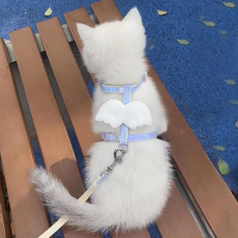 猫咪牵引绳遛猫绳防挣脱外出专用工字型小奶猫狗链子防走丢防跑绳