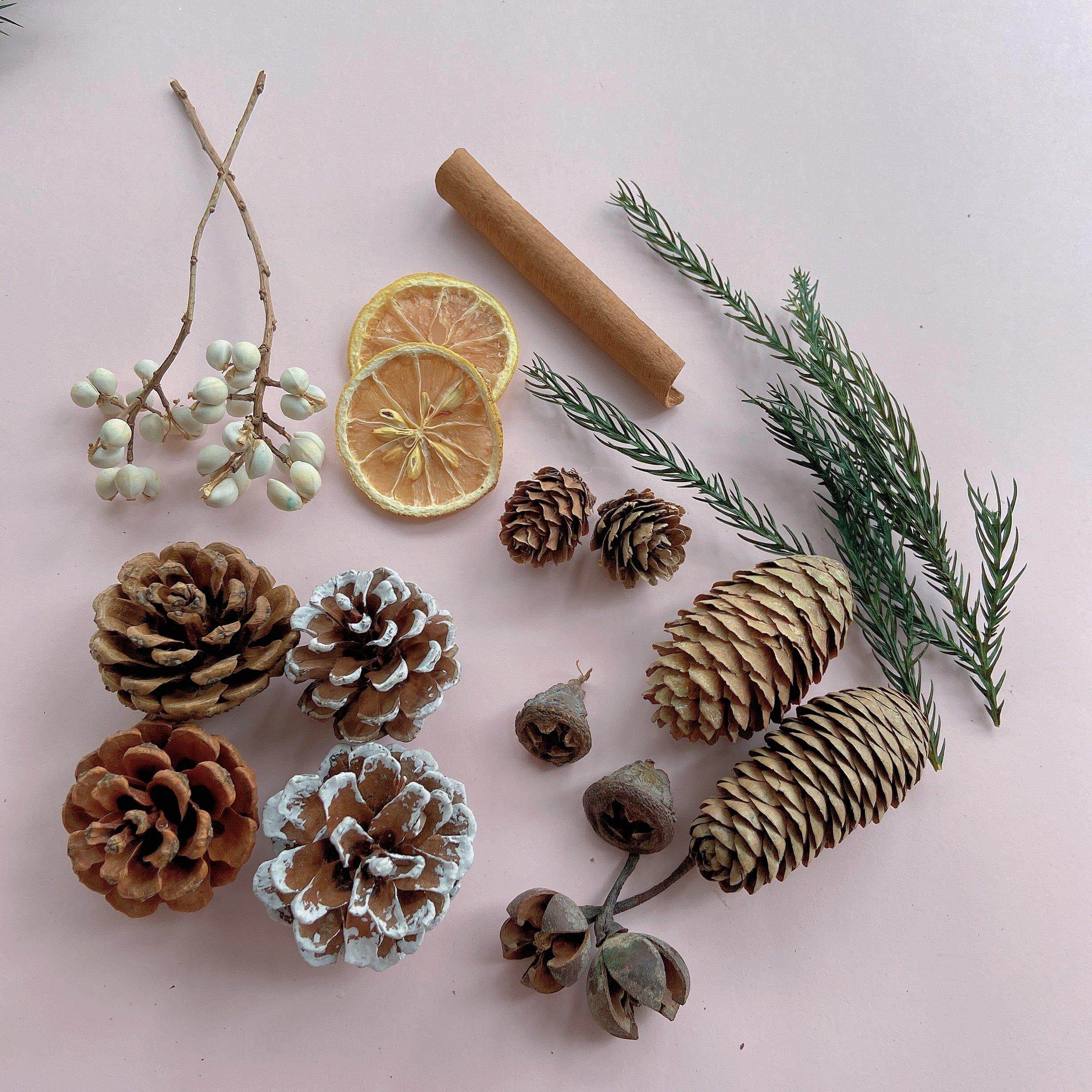 天然松果干花干果组合松塔圣诞装饰手工DIY香薰扩香杯拍摄道具