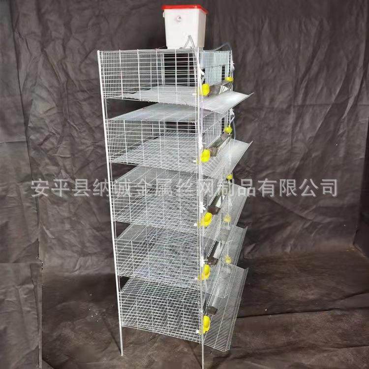 养殖加高鹌鹑鹧鸪笼子 立体式鹧鸪自动清粪镀锌笼 自动接蛋笼