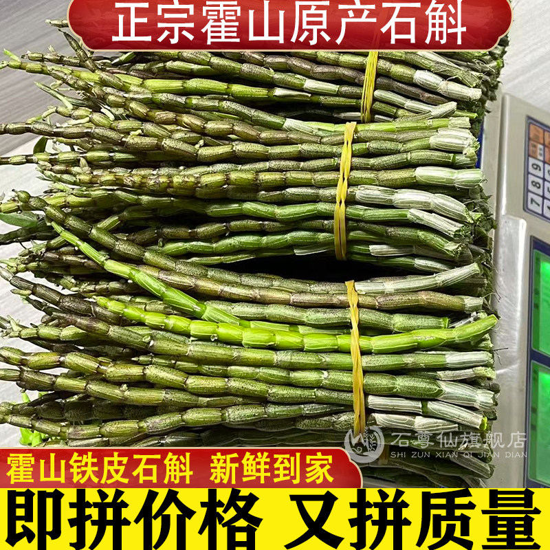 正宗新鲜霍山铁皮石斛鲜条官方正品旗舰店干条枫斗中药材原浆安徽