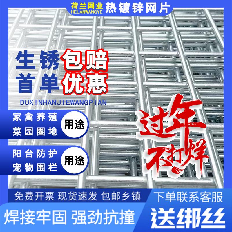 加粗镀锌铁丝电焊网片家用鸡狗鸟兔笼钢丝网格养殖围栏防护隔离网