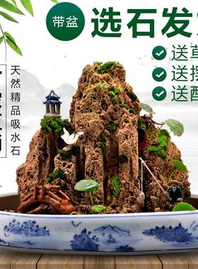 吸水石假山石盆景摆件造景上水石假山盆景原石奇石观赏石微景观