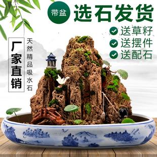 吸水石假山石盆景摆件造景上水石假山盆景原石奇石观赏石微景观