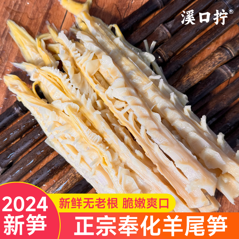 2024新鲜笋竹笋干宁波特产正宗奉化羊尾笋自制腌制湿扁尖笋嫩笋尖 零食/坚果/特产 笋类制品 原图主图