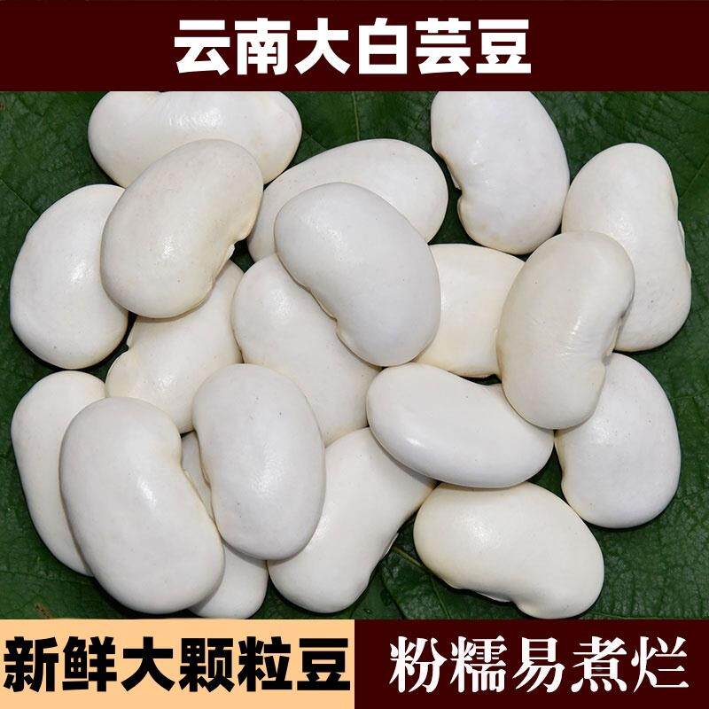 云南白芸豆干 干货新鲜大白云豆官方旗舰店正品特产五谷杂粮膳食