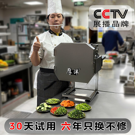 多功能切菜机食堂商用切葱花切小米辣圈切韭菜馅机专用切辣椒段机