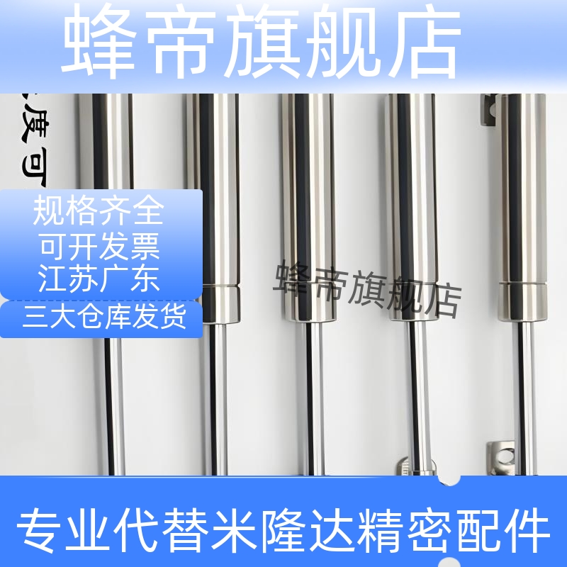 不锈钢氮气汽弹簧支撑液压FRGSS-A/B60-100/125/150/200/300/400