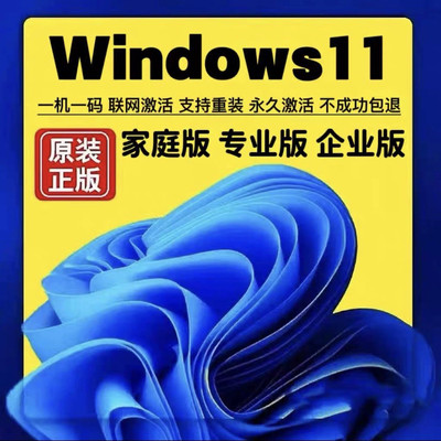 【正版】win10专业版激活码windows11产品密钥家庭版企业版密匙