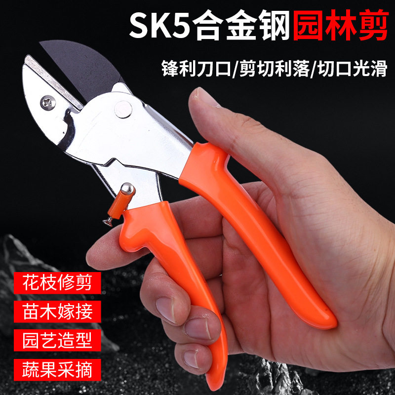 修枝剪园林工具剪刀果树花木粗枝盆景修剪省力高枝锯弹簧果枝