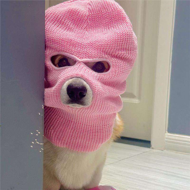 小狗狗帽子强盗头套打劫头饰搞笑创意宠物发饰拍照装饰品柯基泰迪