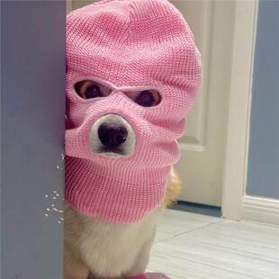 小狗狗帽子强盗头套打劫头饰搞笑创意宠物发饰拍照装饰品柯基泰迪