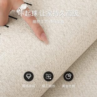 轻奢高级感地毯客厅2025现代简约沙发天津可擦家用地垫免洗 新款