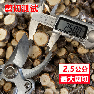 园艺剪刀果树修枝剪刀花剪子修剪树枝剪刀园林花枝强力省力剪刀