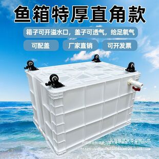 特大号带轮子周转箱养龟带排水口养鱼水箱带孔水产养殖带轱辘鱼桶
