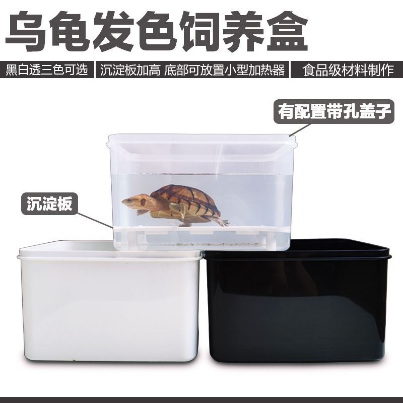 乌龟黑白发色盒育苗箱蛋龟饲养盒收纳盒龟苗隔离盒过冬保暖盒凌之