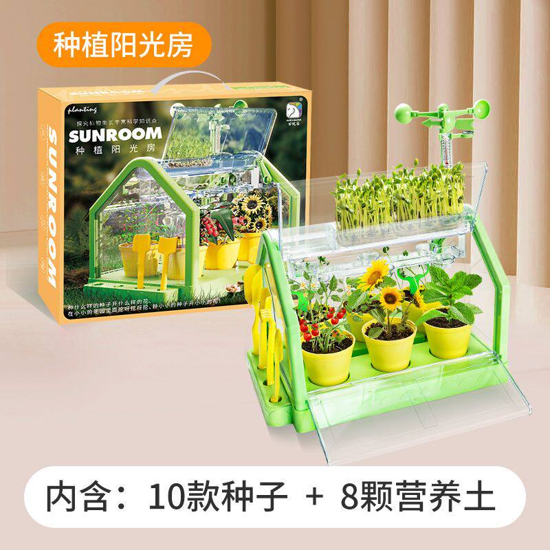 阳光房种植儿童种菜培训玩具科学实验盆栽手工diy材料植物房