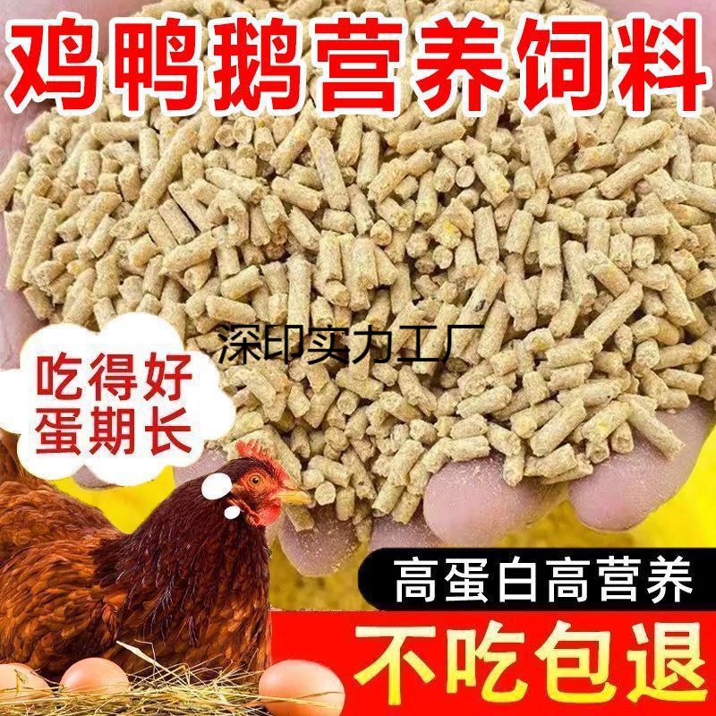 大鸡饲料颗粒鸡食鸭鹅野钓钓鱼家用配合产蛋鸡雏鸡开口料全价饲料
