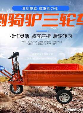 电动带车厢载重王推车搬运车工地拖板驾驶拉货车仓倒骑驴方向总成