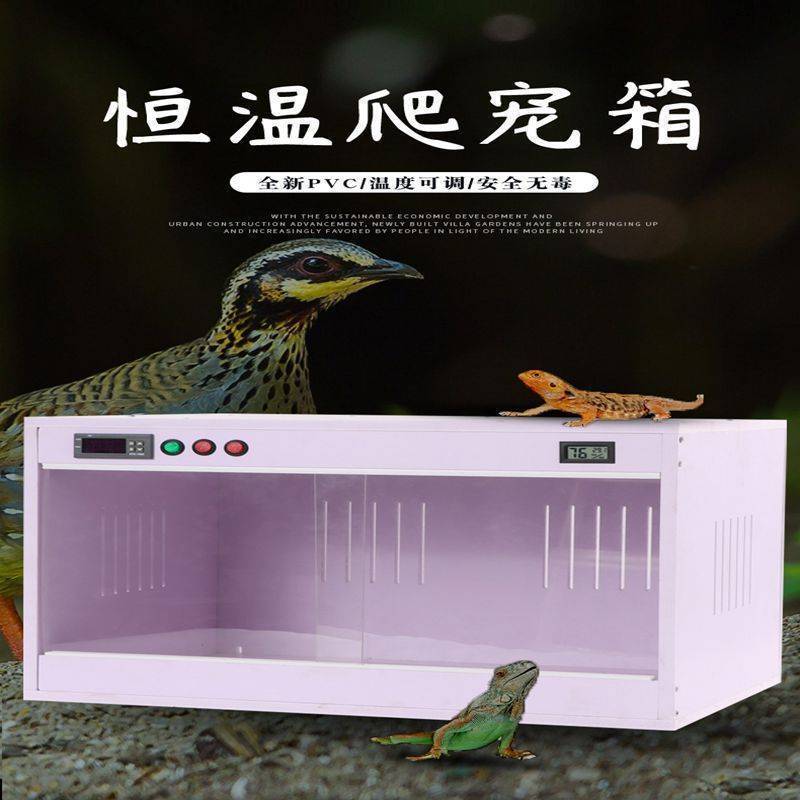 芦丁鸡宠物雏鸽子饲养箱鸟笼虎皮玄凤鹦鹉保温箱雏鸟幼鸟牡丹恒温
