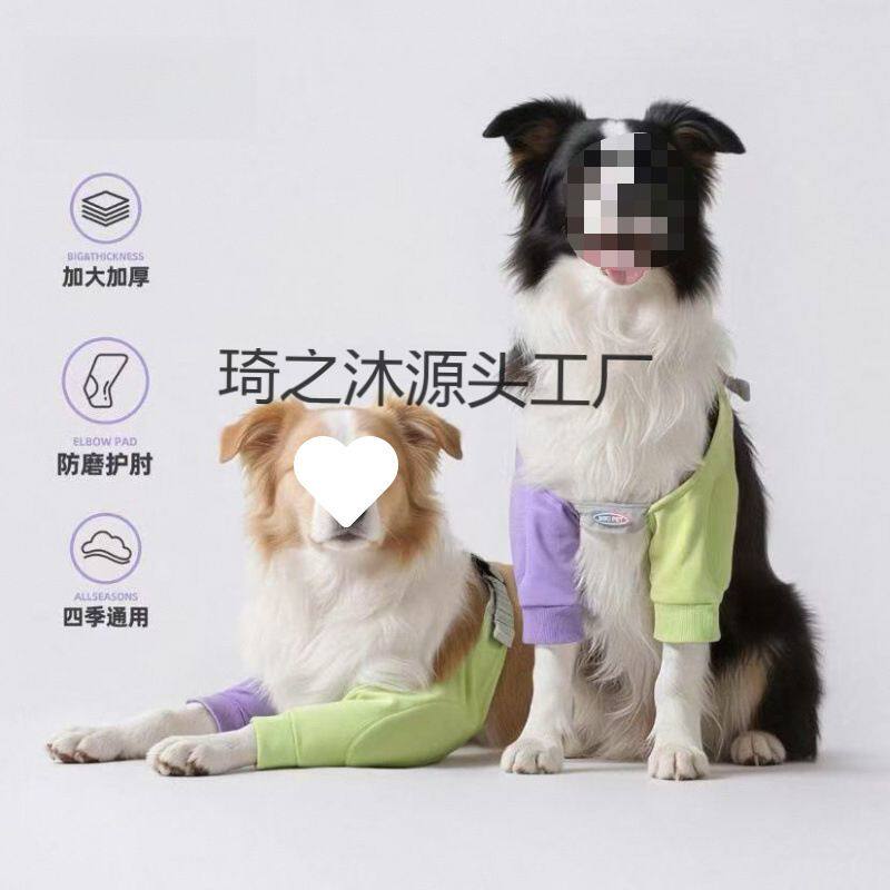 狗狗护肘衣前腿关节保护套宠物边牧金毛大型犬护膝衣四季通用衣服