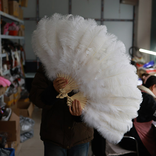 新款白色纯手工定制真鸵鸟羽毛扇子舞台表演汉服拍摄道具绒扇子