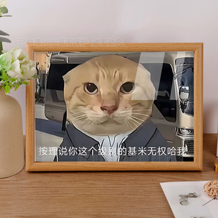 圆头耄耋猫猫meme周边我这个级别的哈基米有权哈你抽象相框摆件潮