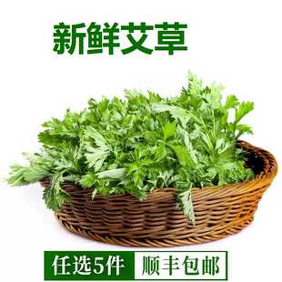 艾草新鲜食用嫩叶艾叶糍粑青团制作清明草艾叶新鲜艾叶草3斤包邮