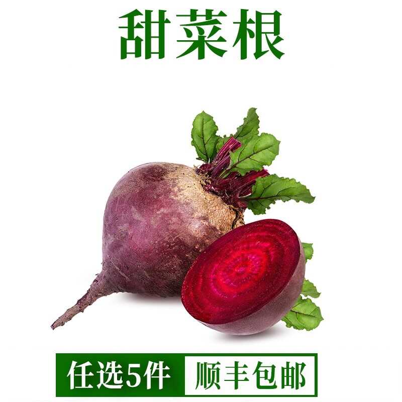 甜菜头500g甜根菜 新鲜紫菜其它