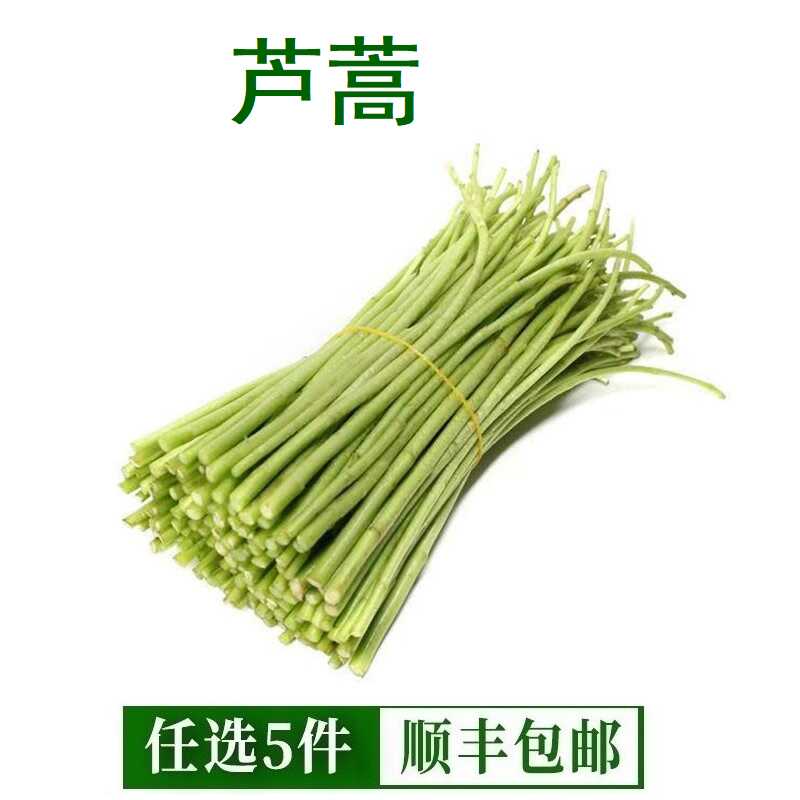 新鲜芦蒿当季蔬菜净菜去叶农家黎蒿篱蒿藜蒿嫩泥蒿蓠蒿漓篙离蒿苔